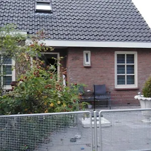 Dendolili , Amsterdam Netherlands
