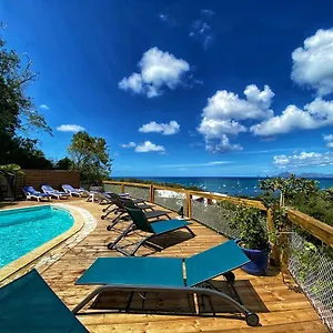 Anoli , Sainte-Anne Martinique